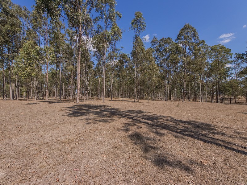 135 Siddans Road, Purga QLD 4306
