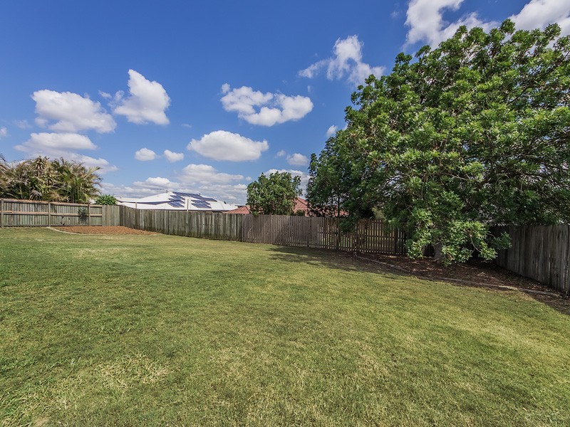 12 Chesterfield Place, Flinders View QLD 4305