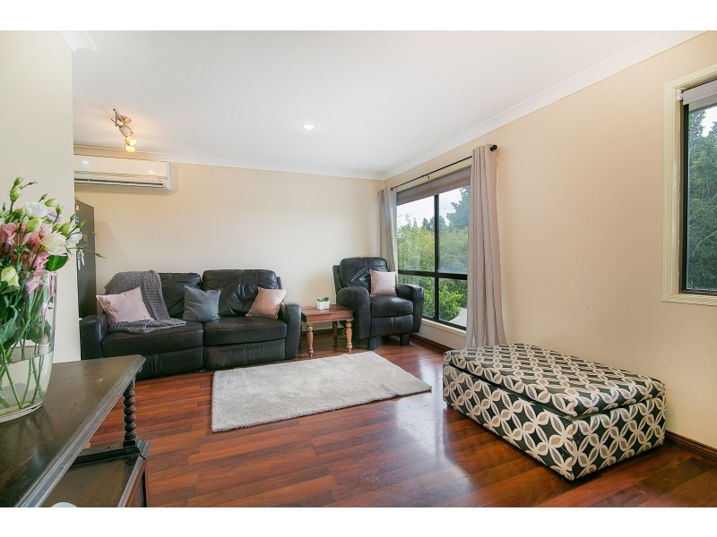 9 Henry Samuel Drive, Redbank Plains QLD 4301