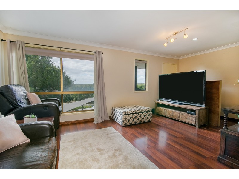 9 Henry Samuel Drive, Redbank Plains QLD 4301