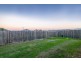 19 Morris Crescent, Bellbird Park QLD 4300