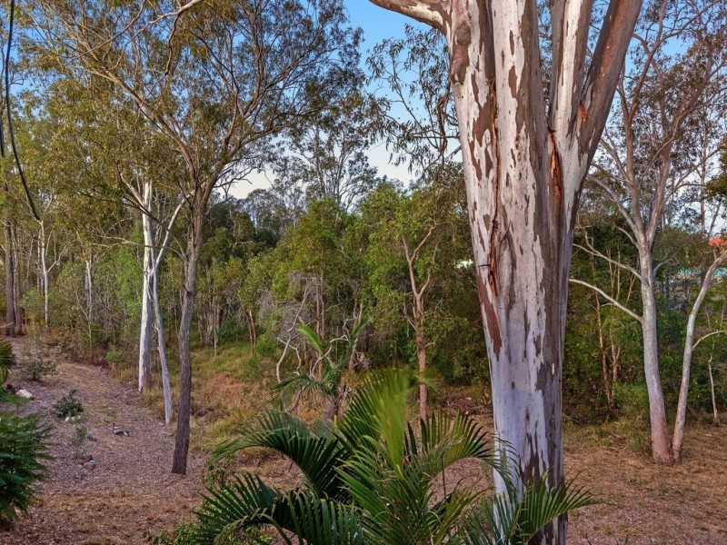 98 Jacana Crescent, Flinders View QLD 4305