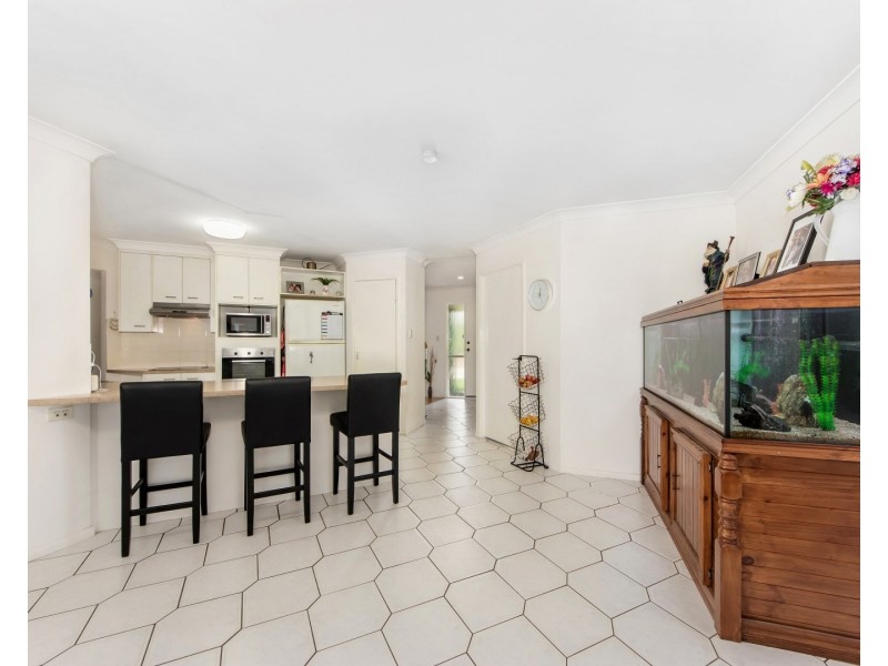 20 Macadamia Court, Walloon QLD 4306