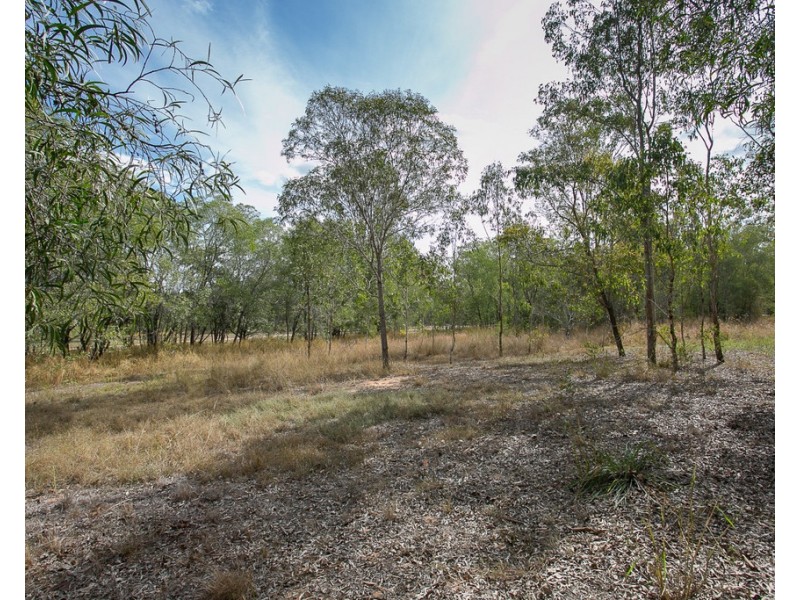 22 Arnold Street, Wulkuraka QLD 4305