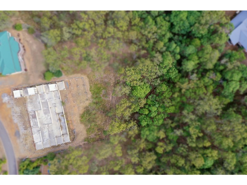 39 Native Olive Place, Mount Crosby QLD 4306