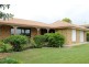 41 Blackstone Road, Eastern Heights QLD 4305