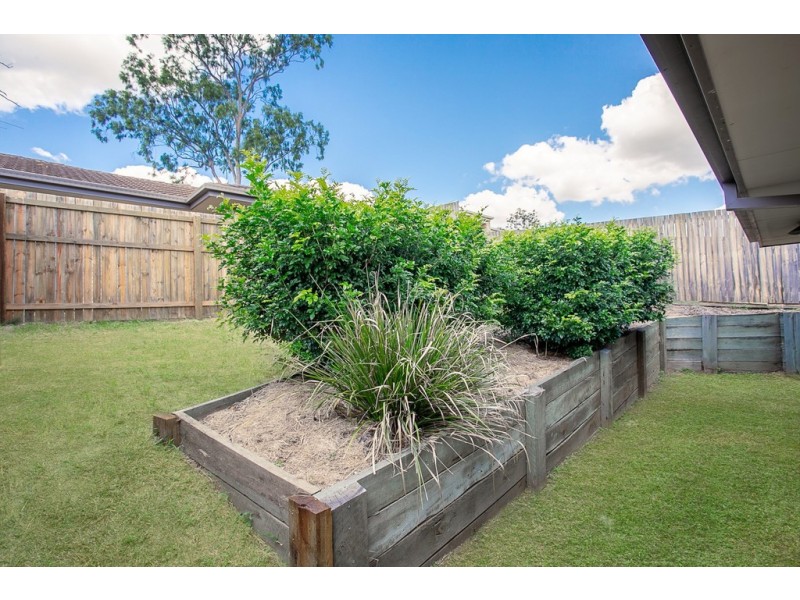 1/8 Phoenix Court, Churchill QLD 4305