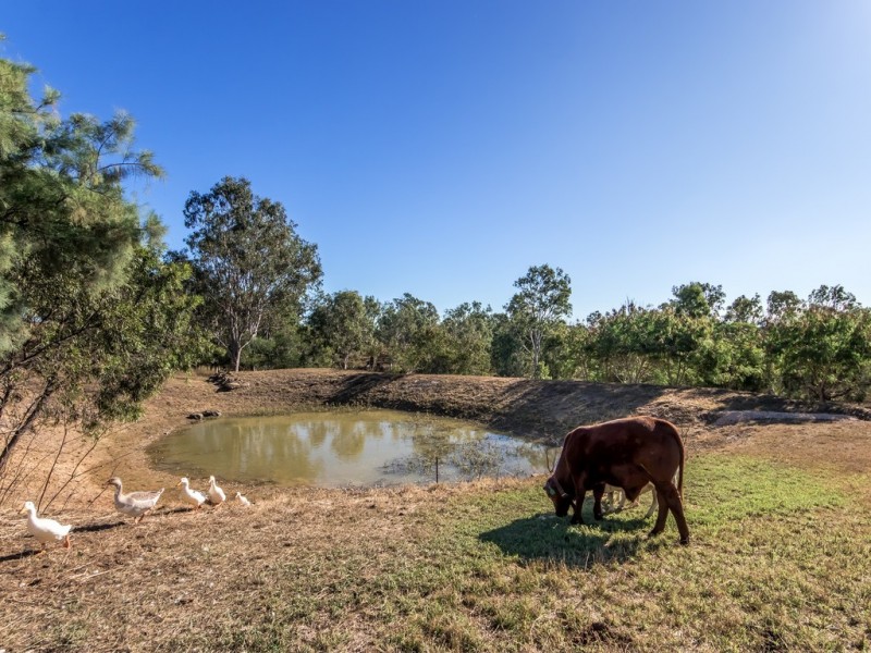 15 Office Lane, Glamorgan Vale QLD 4306