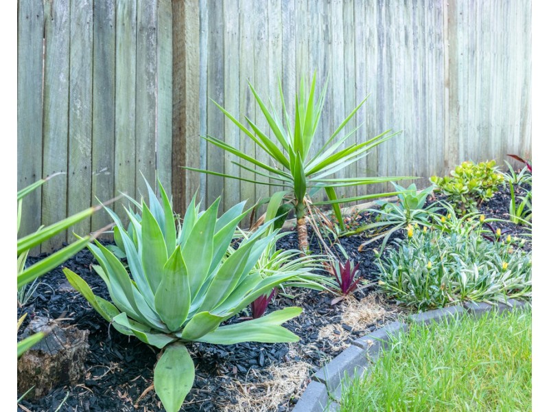 UNIT 17, 1A Joyce Street, East Ipswich QLD 4305