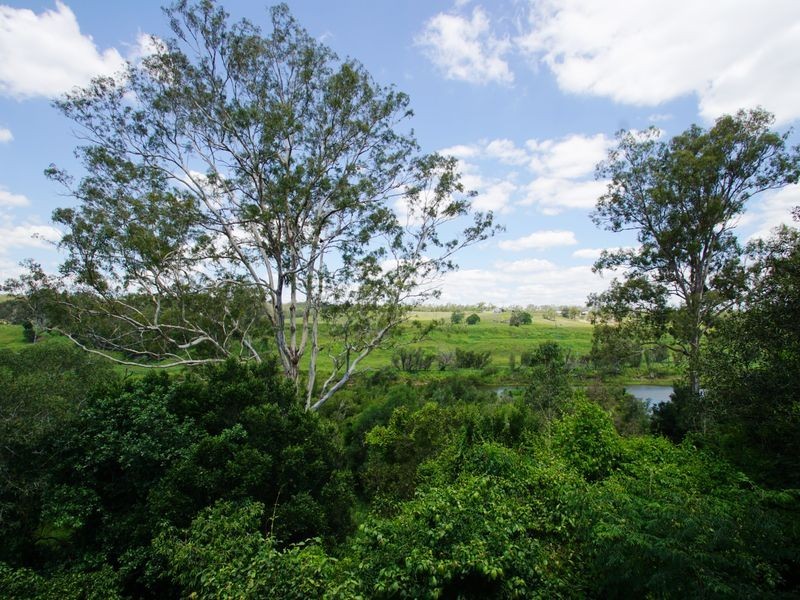 491 Riverside Drive, Pine Mountain QLD 4306