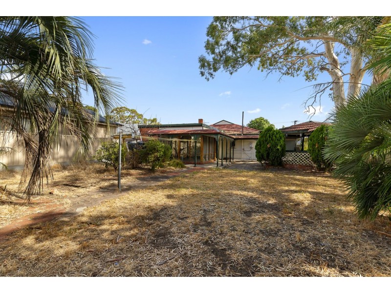 11 Clifford Avenue, Kurralta Park SA 5037