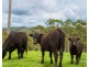 42 Coldwater Creek Road, Nana Glen NSW 2450