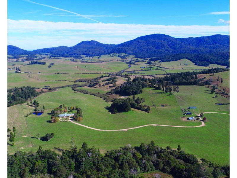 174 Seccombes Road, Brooklana NSW 2450