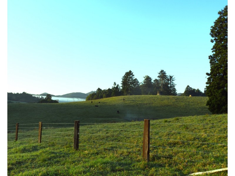 174 Seccombes Road, Brooklana NSW 2450