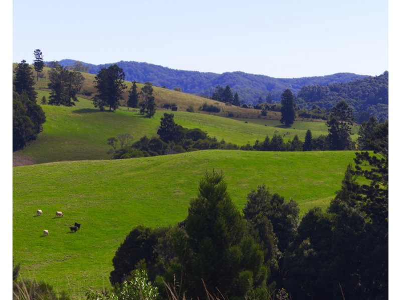 174 Seccombes Road, Brooklana NSW 2450