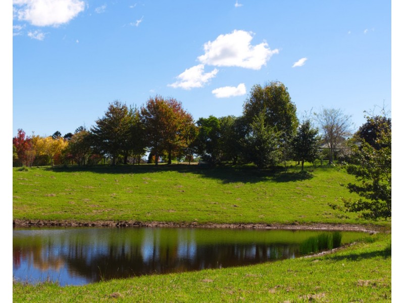 174 Seccombes Road, Brooklana NSW 2450