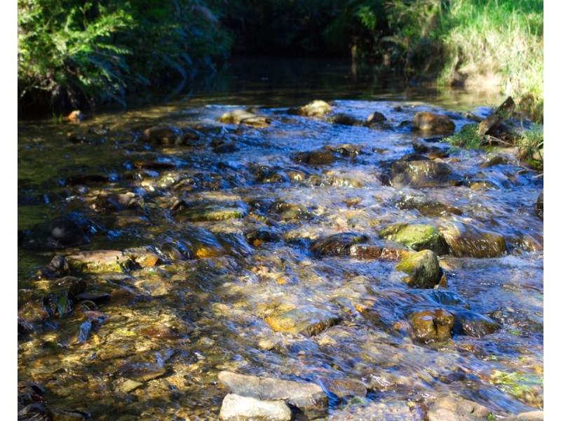 174 Seccombes Road, Brooklana NSW 2450