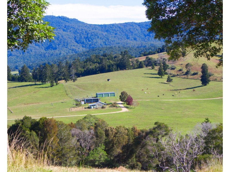 174 Seccombes Road, Brooklana NSW 2450