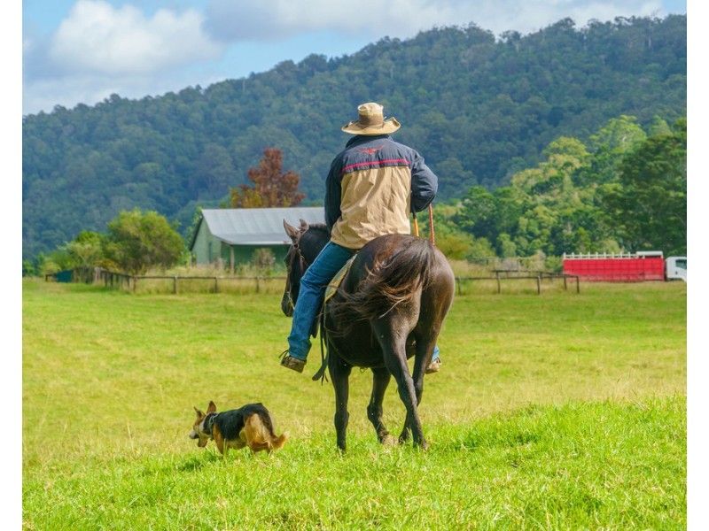 174 Seccombes Road, Brooklana NSW 2450