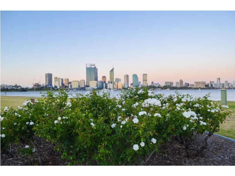 6 Manning Terrace, South Perth WA 6151