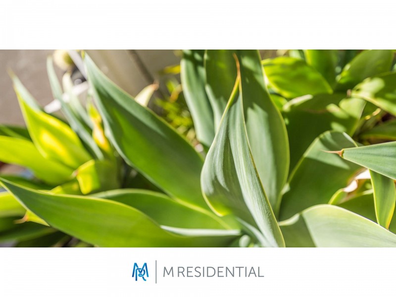 3/43 Anstey Street, South Perth WA 6151