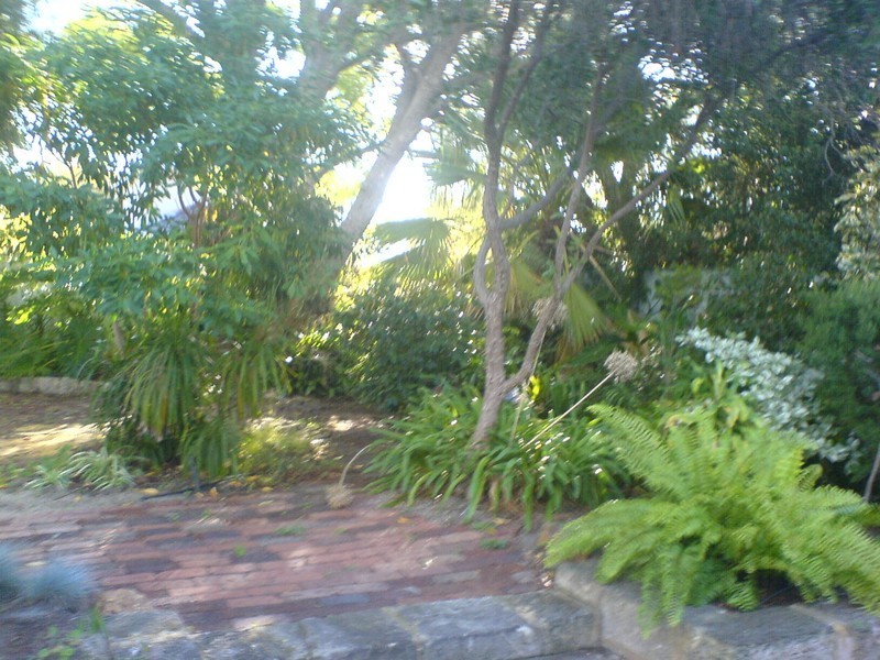 31 Wattle Street, South Perth WA 6151