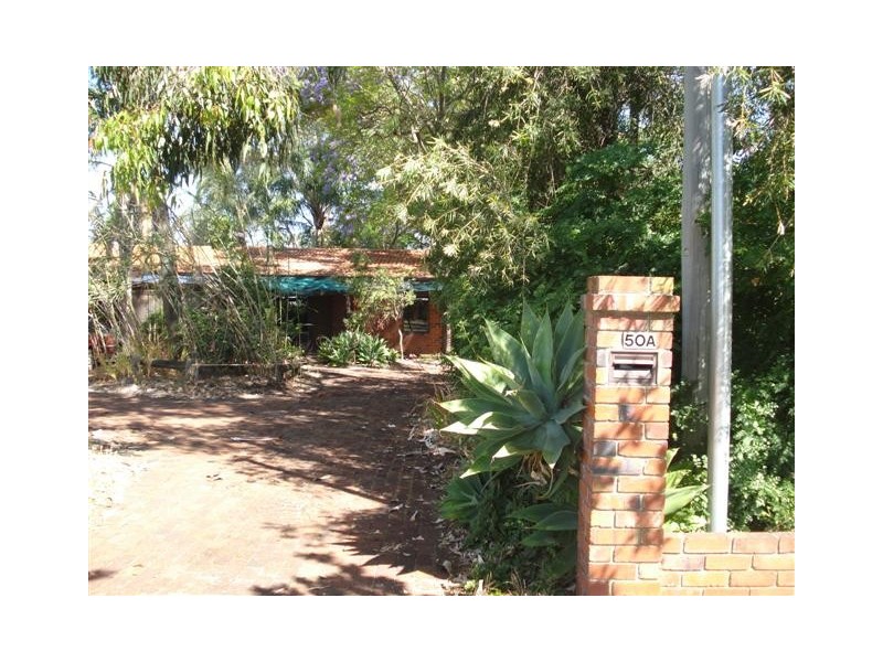 50a Colombo Street, Victoria Park WA 6100