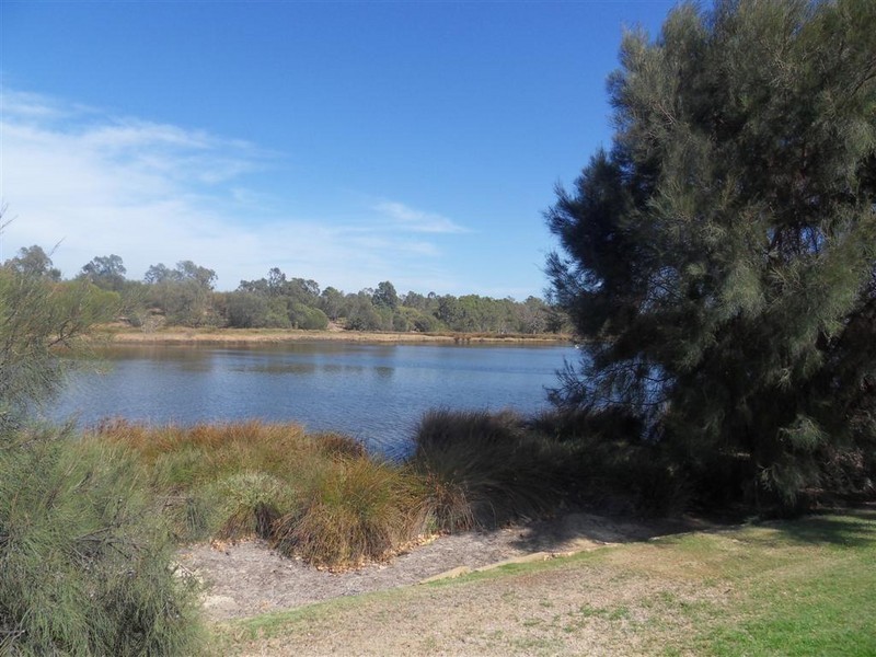 16 Riverina Dve, Ascot WA 6104