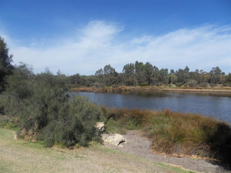 16 Riverina Dve, Ascot WA 6104