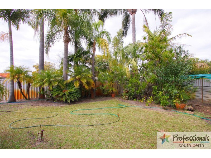113 Manning Road, Manning WA 6152