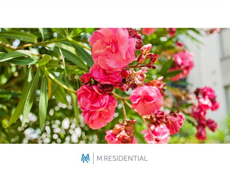 31/156 Whatley Crescent, Maylands WA 6051