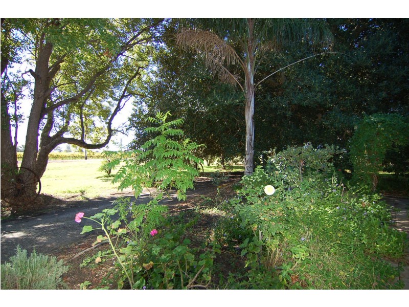 104 Caversham Avenue, Caversham WA 6055