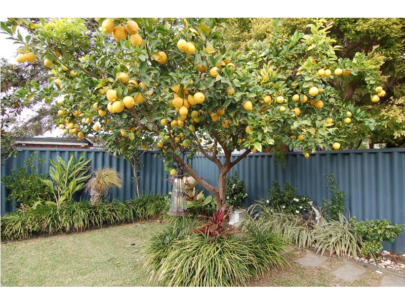 10 Hugh Street, Guildford WA 6055