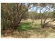8 Gum Grove, Guildford WA 6055