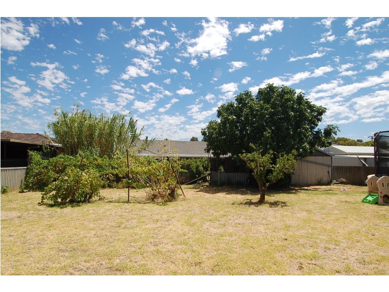 49 Spring Avenue, Midland WA 6056