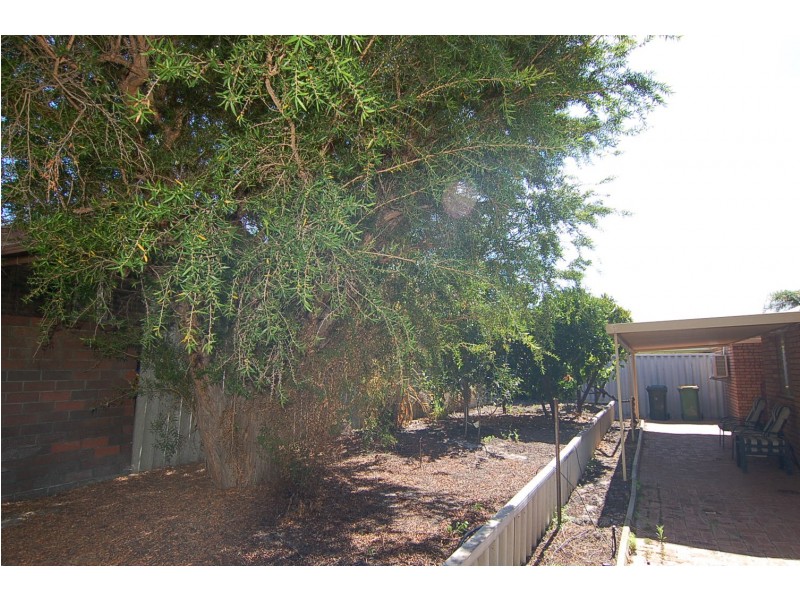 1/56 Ivanhoe St, Bassendean WA 6054