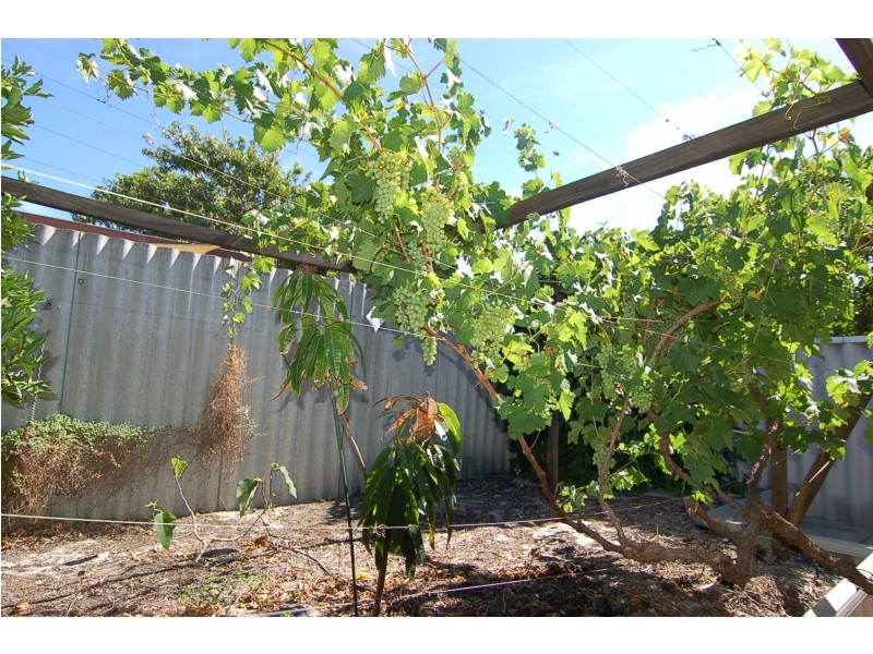 1/56 Ivanhoe St, Bassendean WA 6054