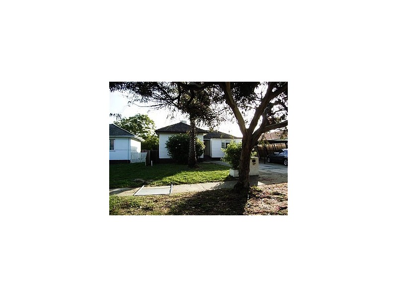 127 Alice Street, Doubleview WA 6018