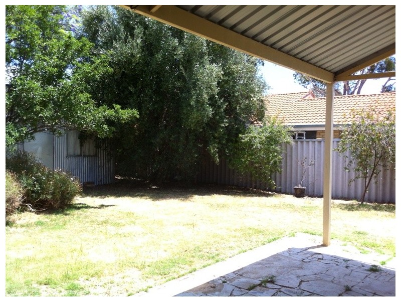 127 Alice Street, Doubleview WA 6018