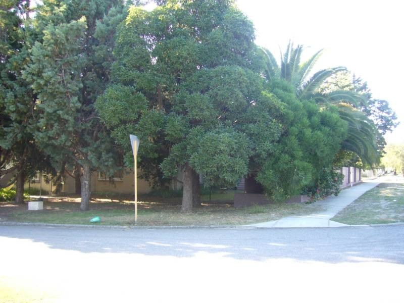 Unit 6/718 Canning Highway, Applecross WA 6153