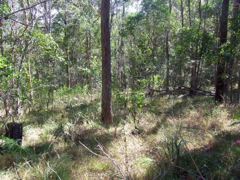 Tandur QLD 4570