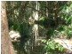 Cooran QLD 4569