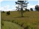 Cooran QLD 4569