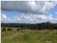 Cooran QLD 4569