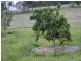 Kin Kin QLD 4571