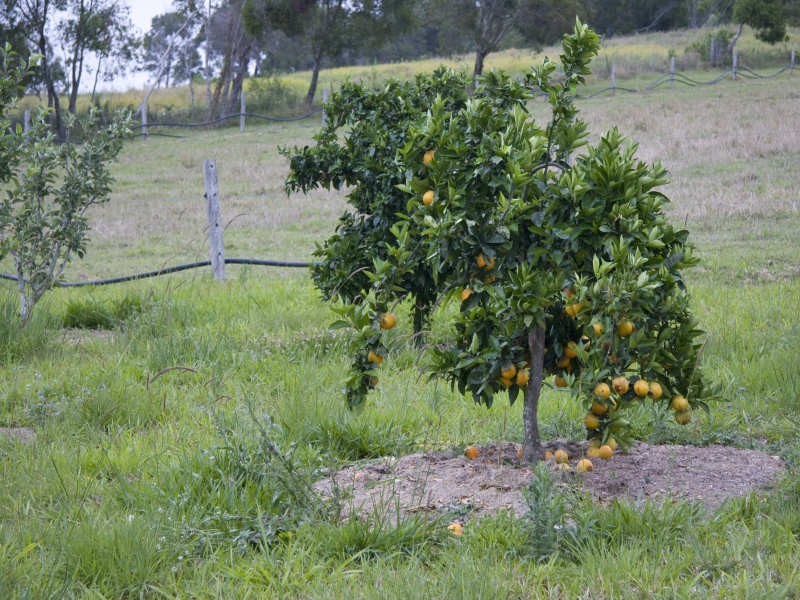 Kin Kin QLD 4571