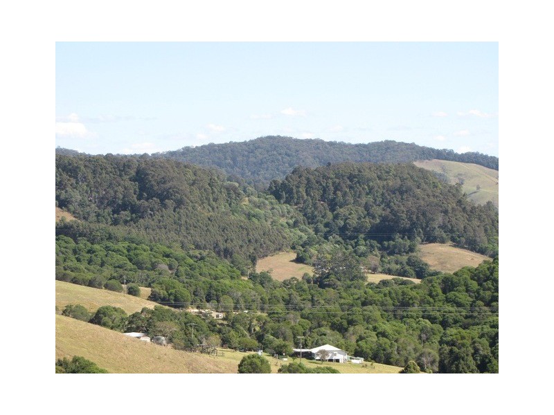 Black Mountain QLD 4563