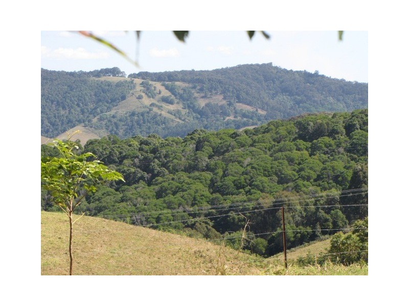 Black Mountain QLD 4563