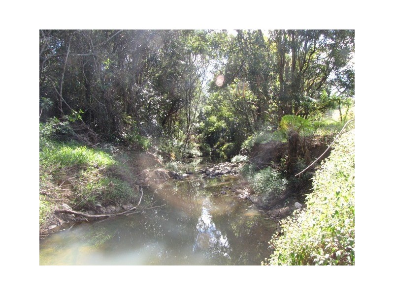 Black Mountain QLD 4563