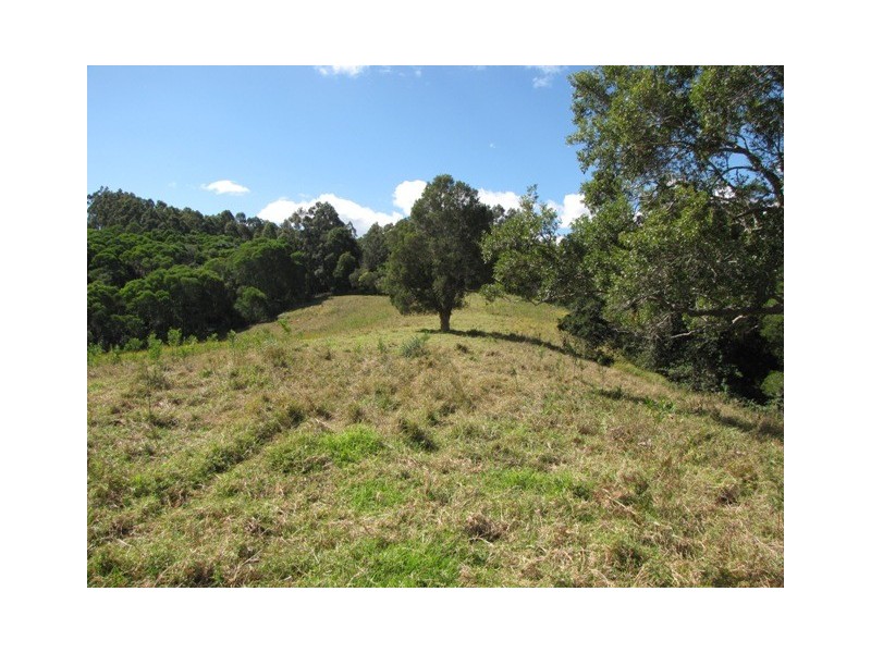 Black Mountain QLD 4563